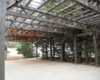 Shade Arbor
